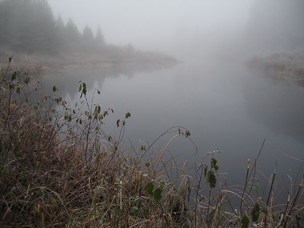 along boardwalk on Chalk River