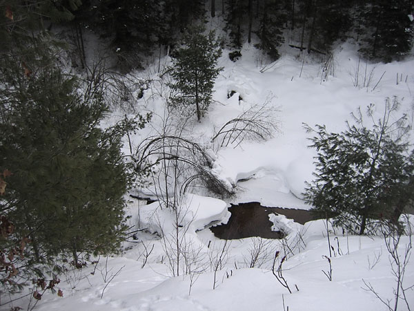 McConnell Creek Ravine