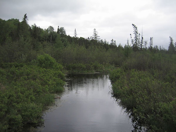 Spring Creek at Hwy 17