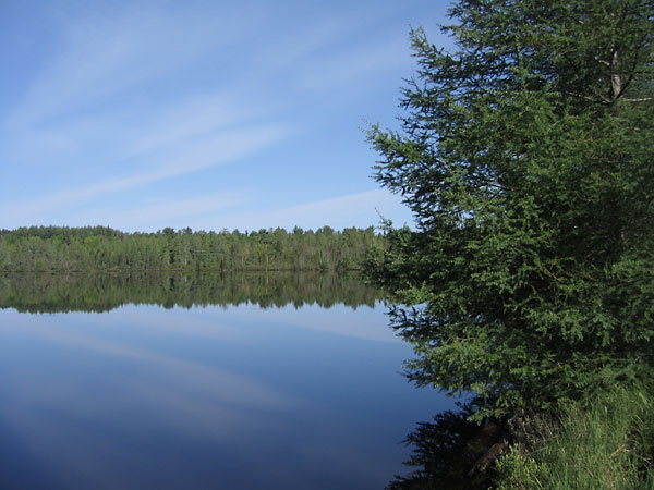 Thomas Lake in the Petawawa Research Forest