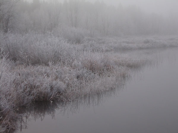 Corry Lake from the Corry Lake Bridge