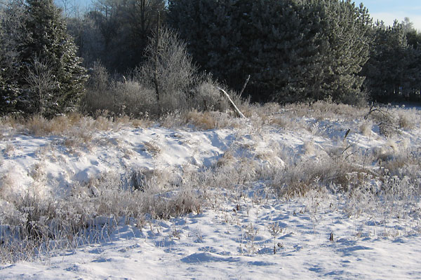 Pumphouse Creek in Chalk River