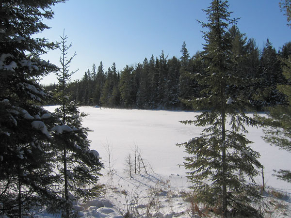 Beaver pond along the HSA Ski Trail in the Petawawa Research Forest