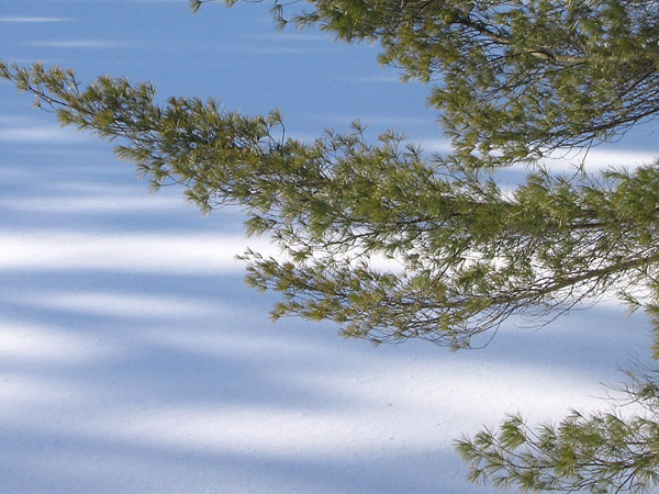 Maunsell Lake in the Petawawa Research Forest