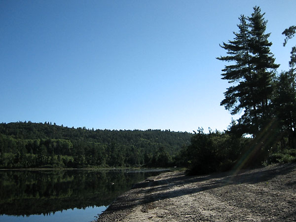Beach at Algonquin Park access point on McManus Lake