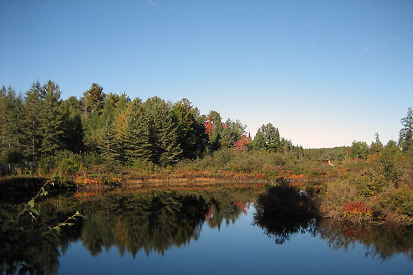 Chalk River near Hwy 17 in the Petawawa Research Forest