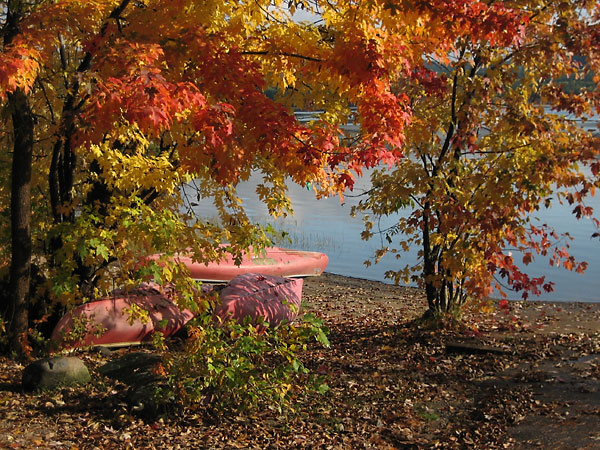 Red canoes at the motorboat launch in Deep River