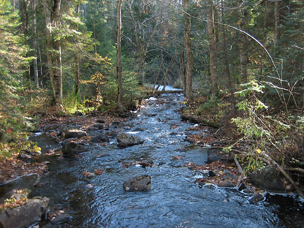 Kennedy Creek at  M Loop on DRXC ski trails
