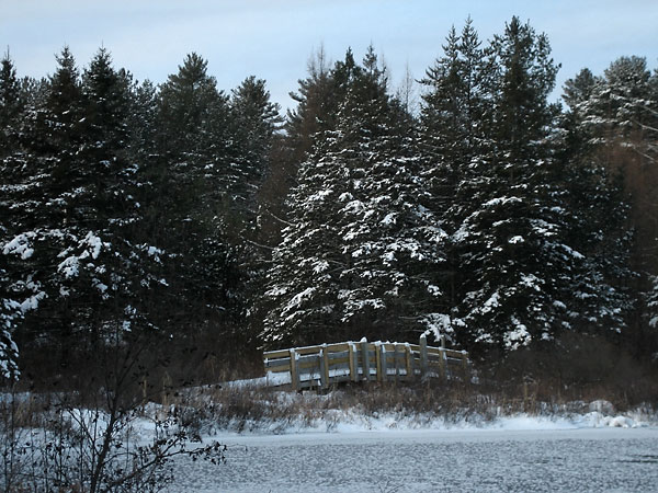 Chalk River near Hwy 17 in the Petawawa Research Forest