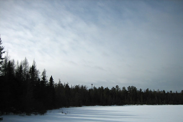 Malone fire tower in the Petawawa Research Forest