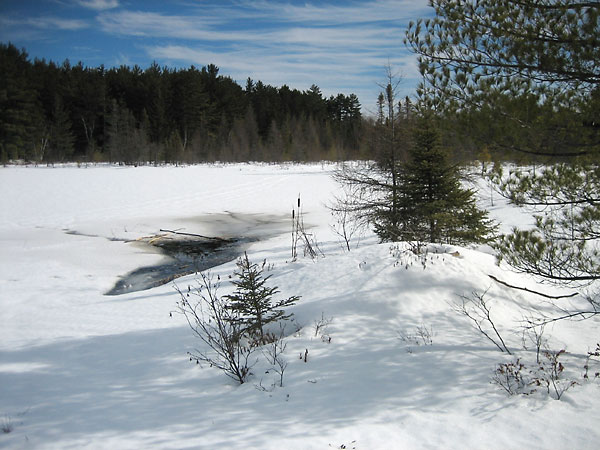 Beaver House in winter on Maunsell Lake in the Petawawa Research Forest