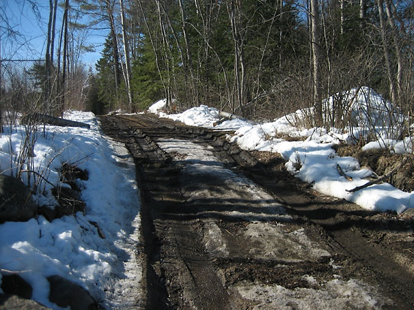 muddy road in spring