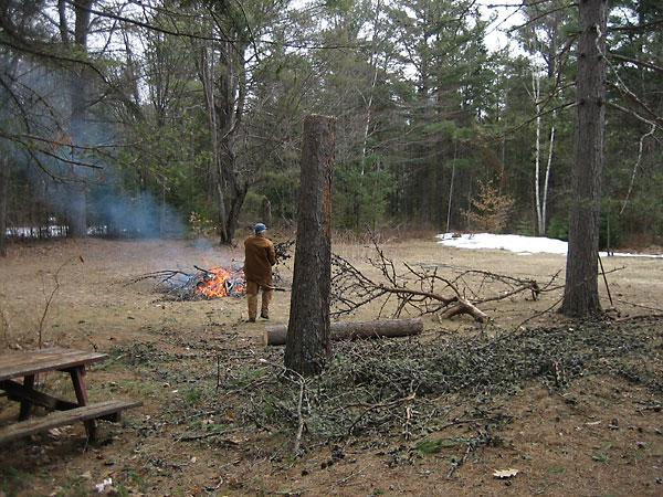 burning slash from jack pine